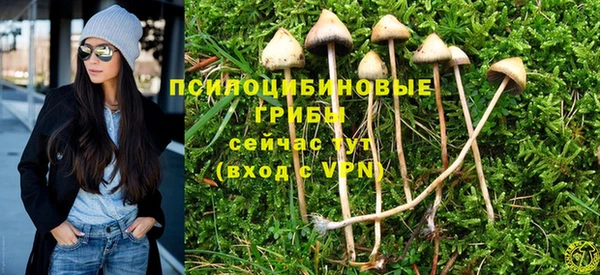 экстази Дмитров