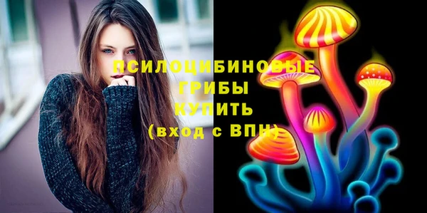 экстази Дмитров